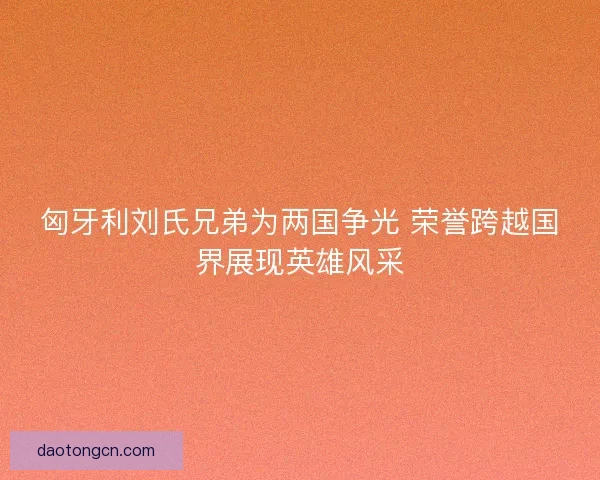 匈牙利刘氏兄弟为两国争光 荣誉跨越国界展现英雄风采 匈牙利刘氏兄弟为两国争光 荣誉跨越国界展现英雄风采