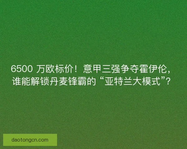 6500 万欧标价!意甲三强争夺霍伊伦,谁能解锁丹麦锋霸的 “亚特兰大模式”? 6500 万欧标价!意甲三强争夺霍伊伦,谁能解锁丹麦锋霸的 “亚特兰大模式”?