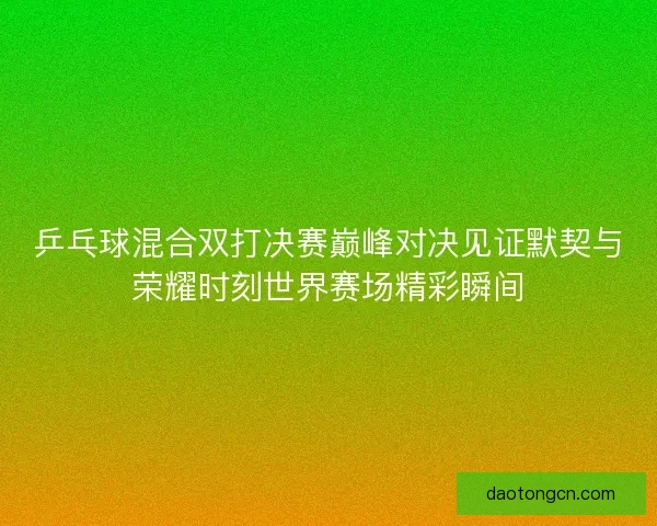 乒乓球混合双打决赛巅峰对决见证默契与荣耀时刻世界赛场精彩瞬间