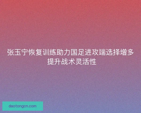 张玉宁恢复训练助力国足进攻端选择增多 提升战术灵活性